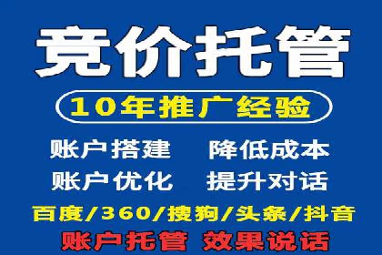 某品牌SEM推广代运营的实践与效果评估